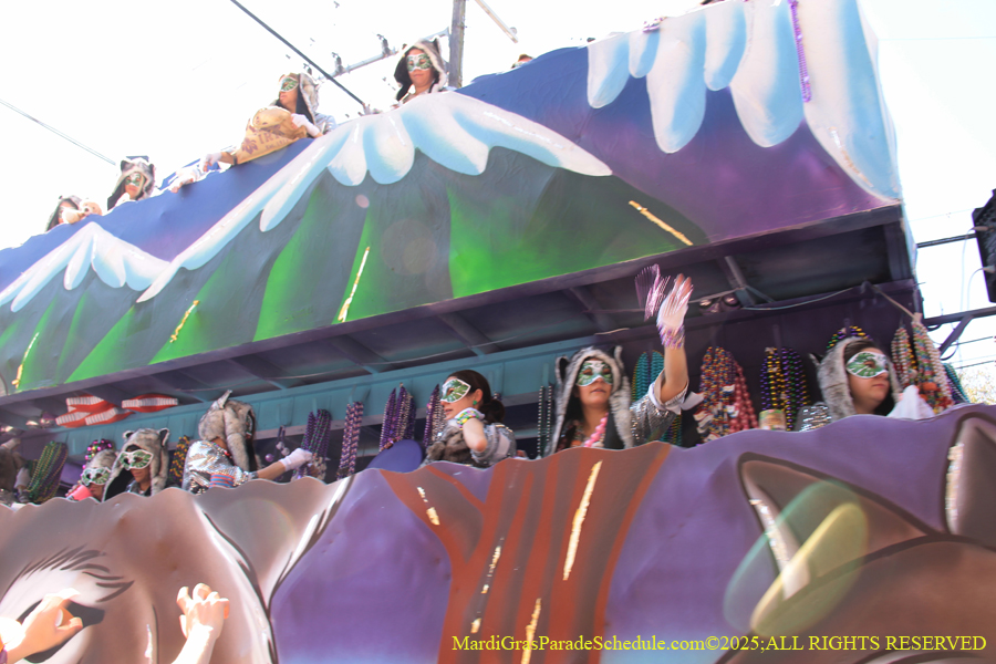 Krewe-of-Iris-2025-0874