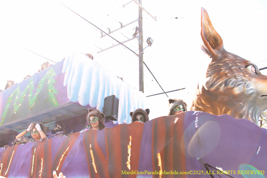 Krewe-of-Iris-2025-0875