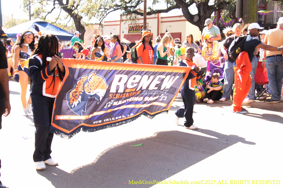 Krewe-of-Iris-2025-0877