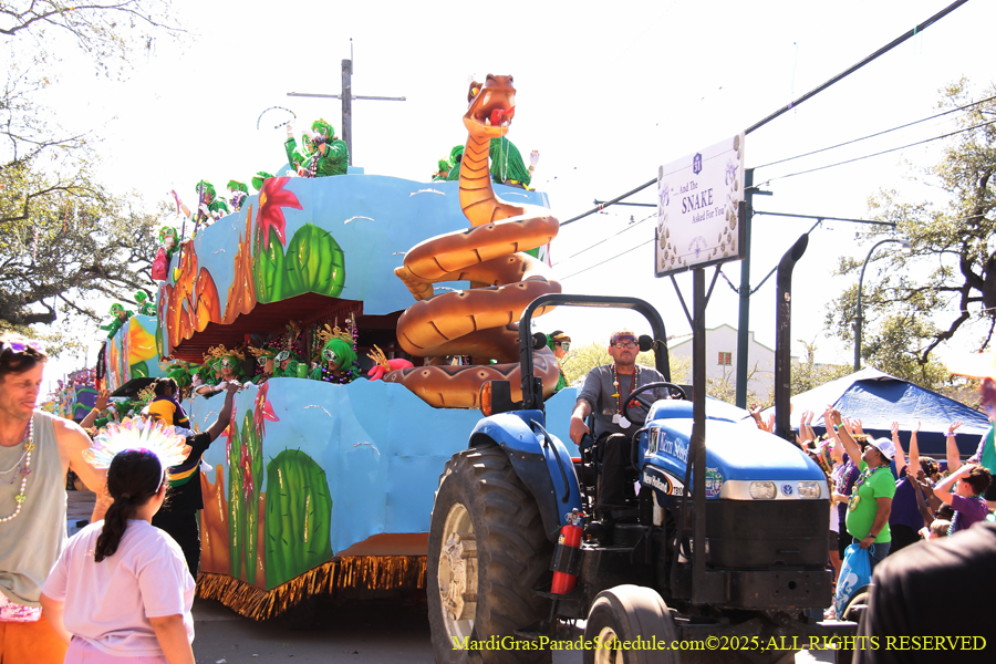 Krewe-of-Iris-2025-0879