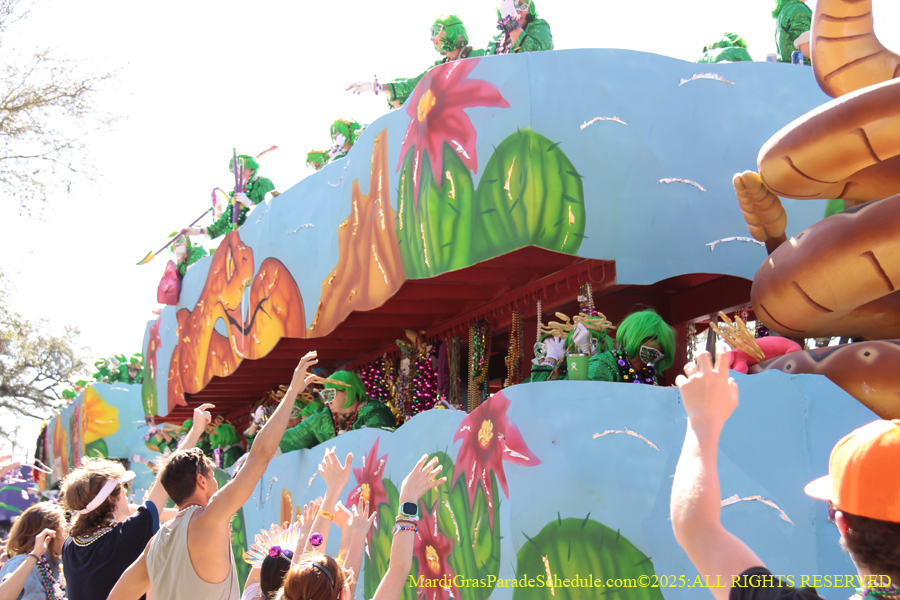 Krewe-of-Iris-2025-0880