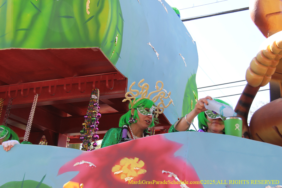 Krewe-of-Iris-2025-0881