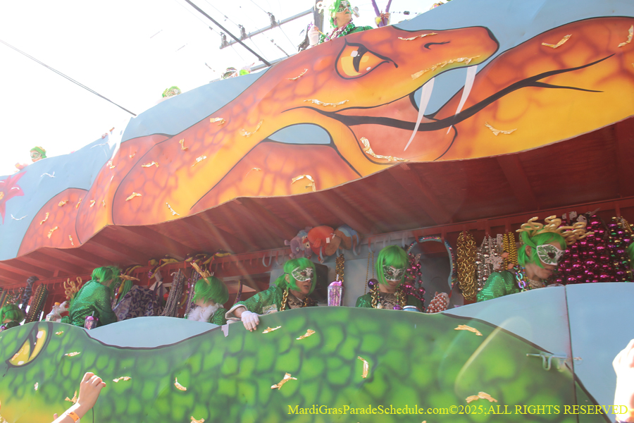 Krewe-of-Iris-2025-0883