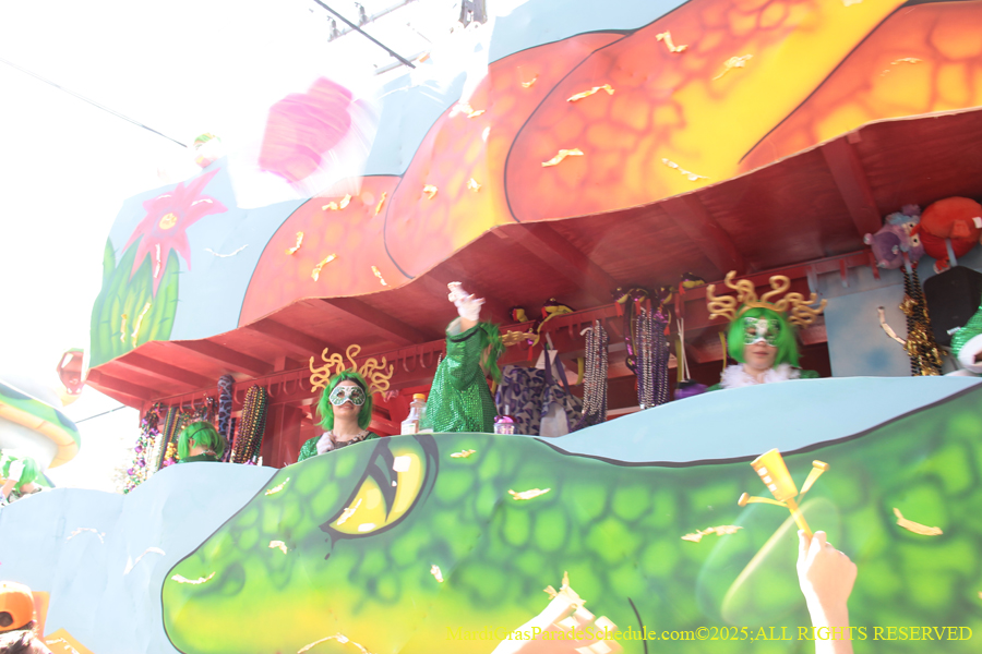 Krewe-of-Iris-2025-0884