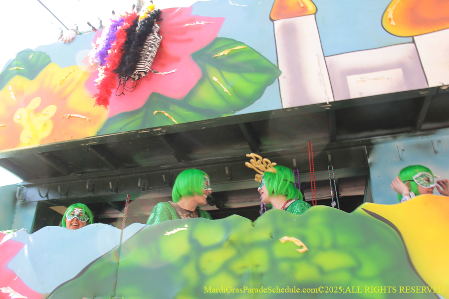 Krewe-of-Iris-2025-0885
