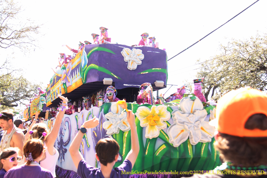 Krewe-of-Iris-2025-0886