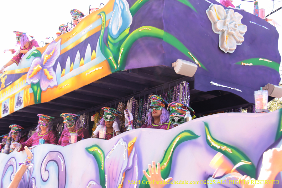 Krewe-of-Iris-2025-0887