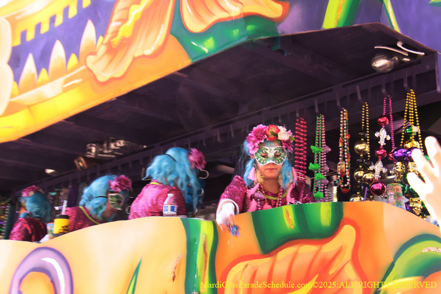 Krewe-of-Iris-2025-0890