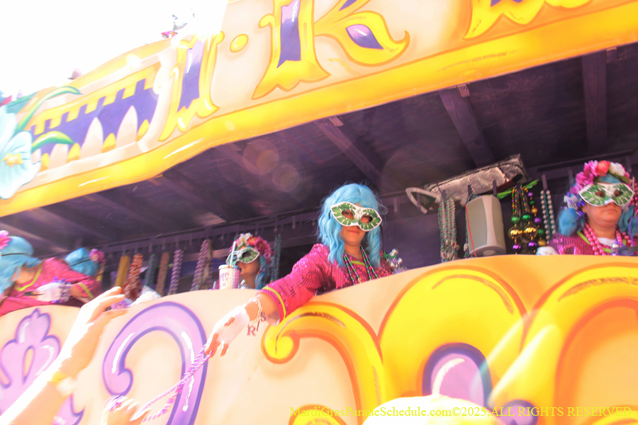 Krewe-of-Iris-2025-0891