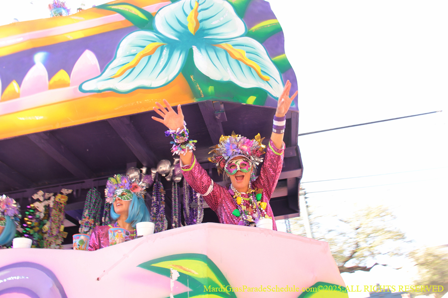 Krewe-of-Iris-2025-0892