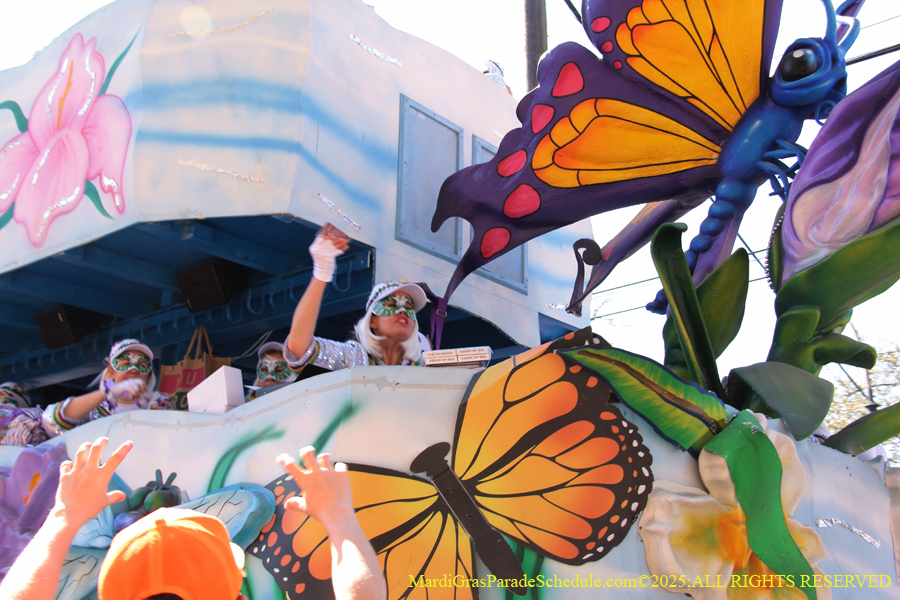 Krewe-of-Iris-2025-0894