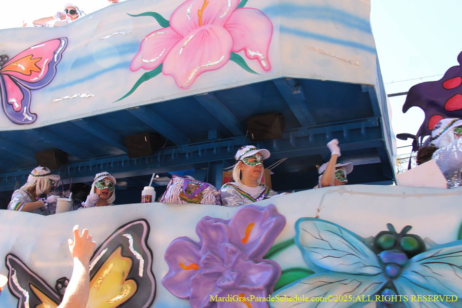 Krewe-of-Iris-2025-0895