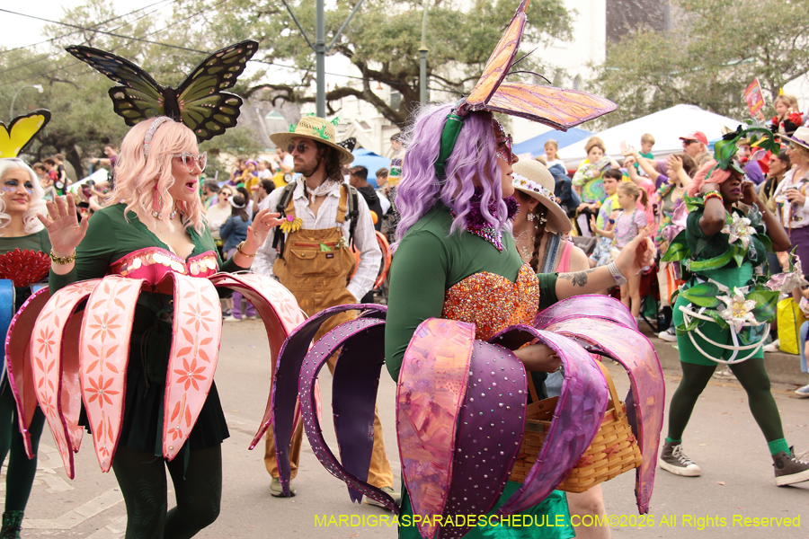 Krewe-of-Iris-2026-6831