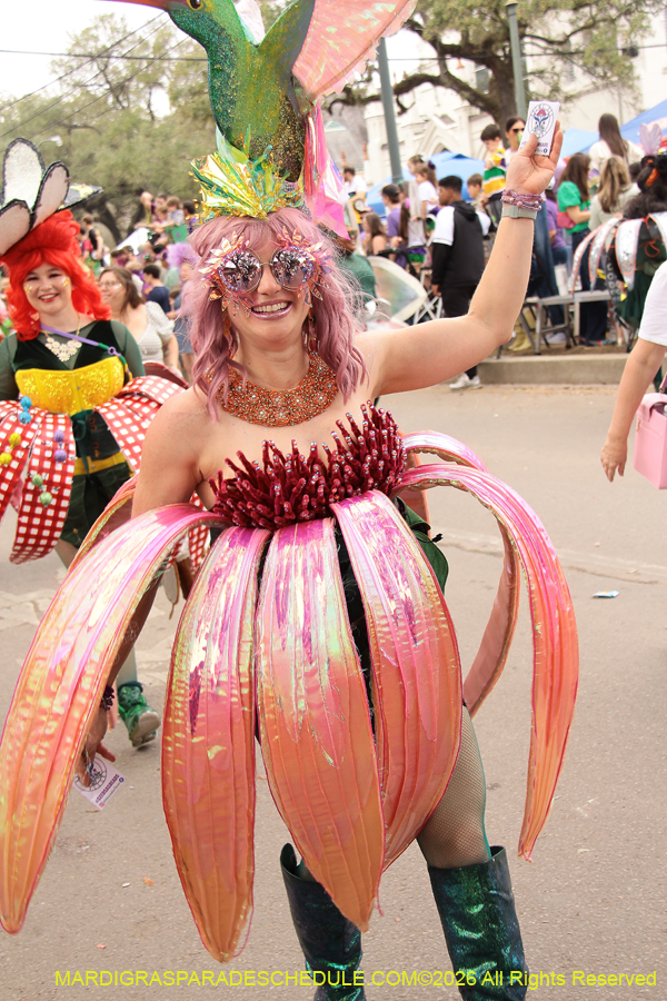 Krewe-of-Iris-2026-6832