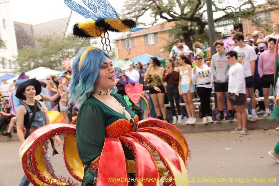 Krewe-of-Iris-2026-6836