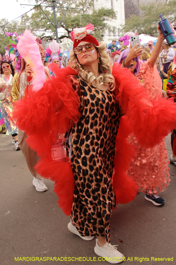 Krewe-of-Iris-2026-6841