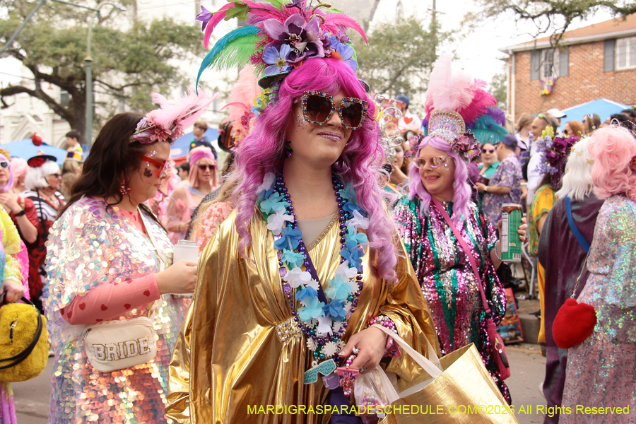 Krewe-of-Iris-2026-6842