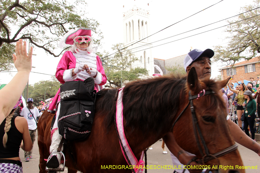 Krewe-of-Iris-2026-6848