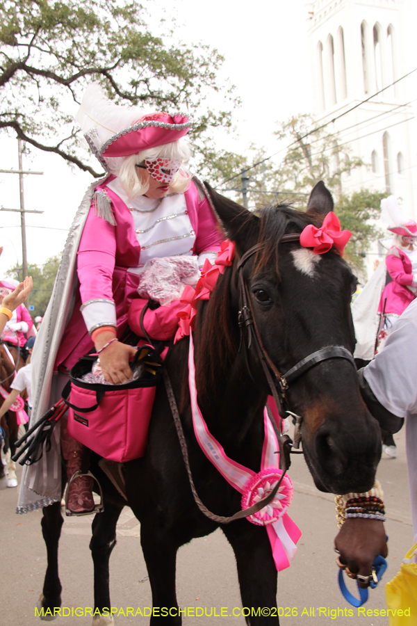 Krewe-of-Iris-2026-6849