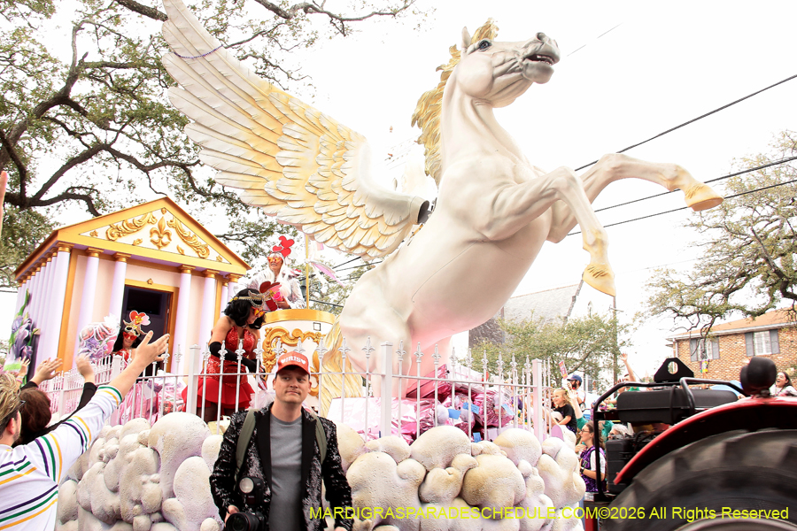 Krewe-of-Iris-2026-6854