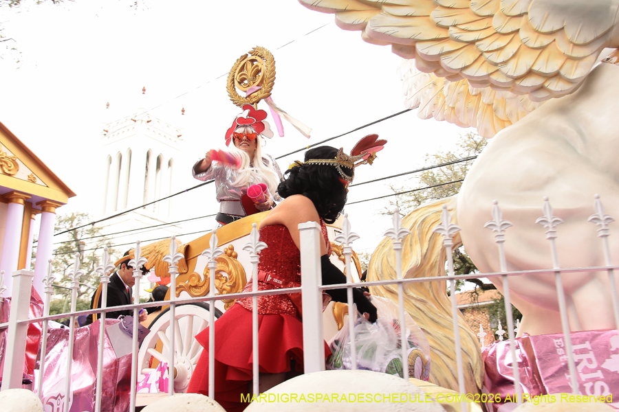 Krewe-of-Iris-2026-6855