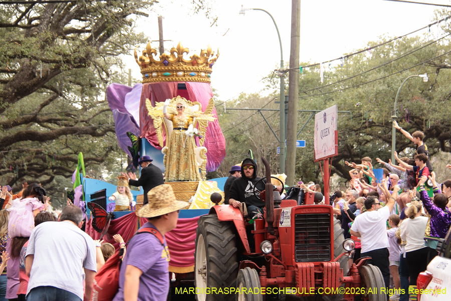 Krewe-of-Iris-2026-6862