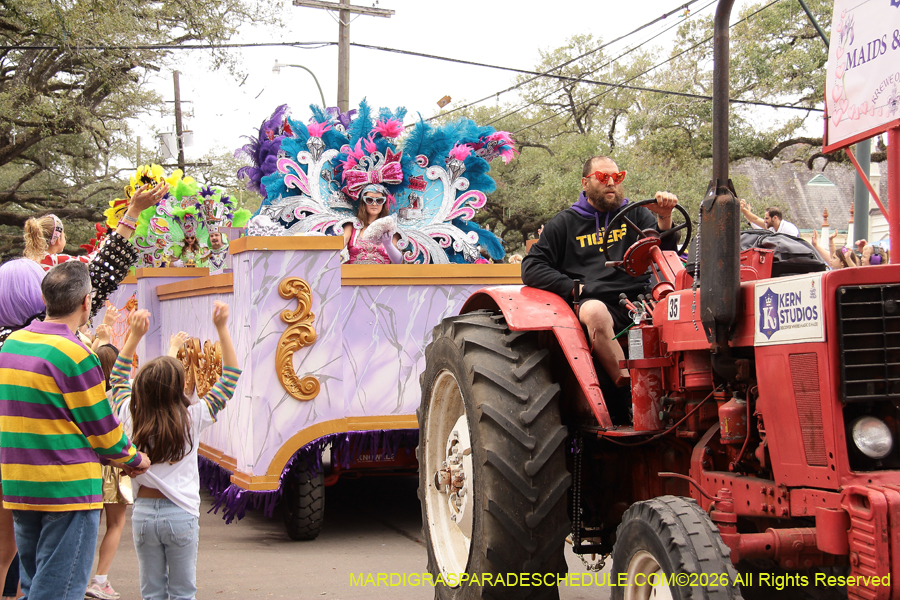 Krewe-of-Iris-2026-6874