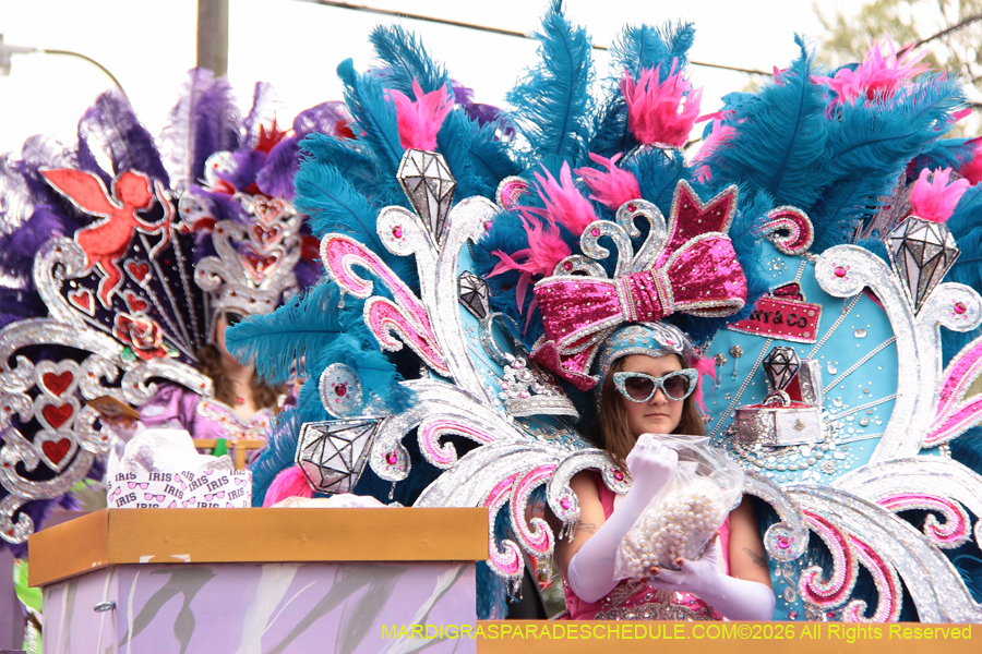 Krewe-of-Iris-2026-6875