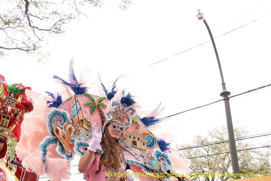 Krewe-of-Iris-2026-6879