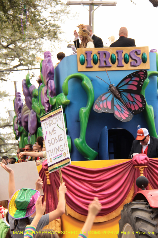 Krewe-of-Iris-2026-6884