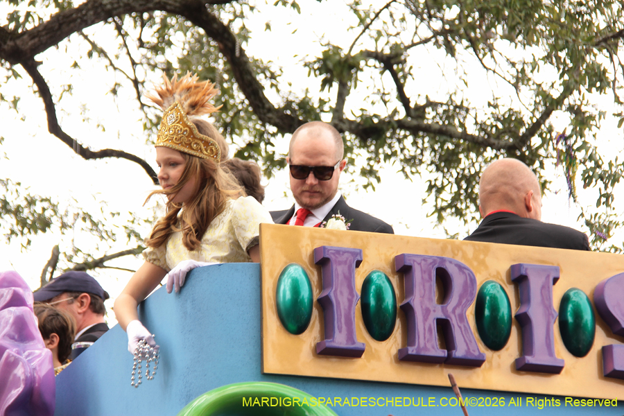 Krewe-of-Iris-2026-6885