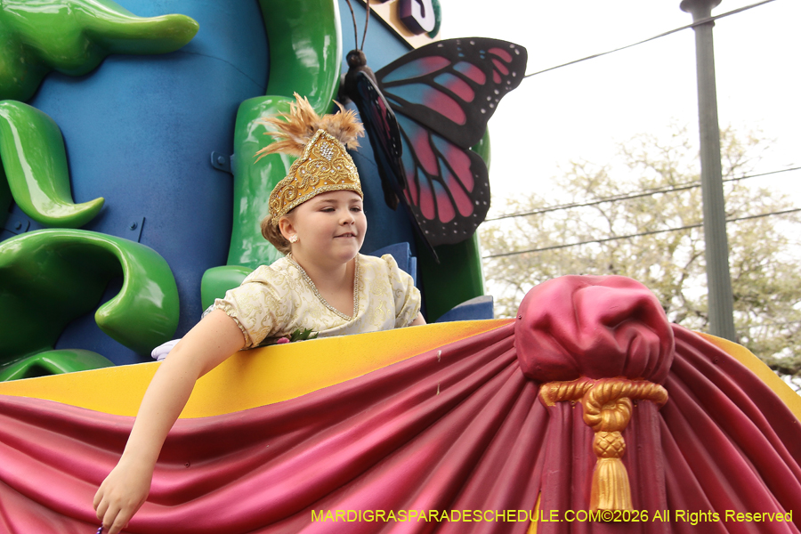 Krewe-of-Iris-2026-6886