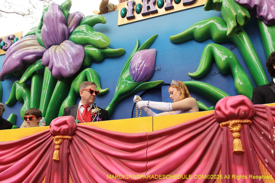Krewe-of-Iris-2026-6887