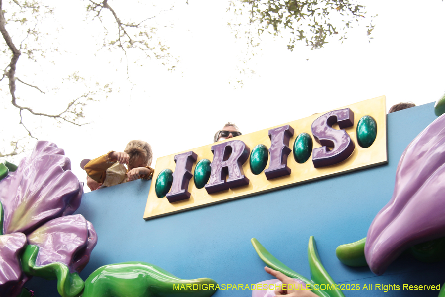 Krewe-of-Iris-2026-6888
