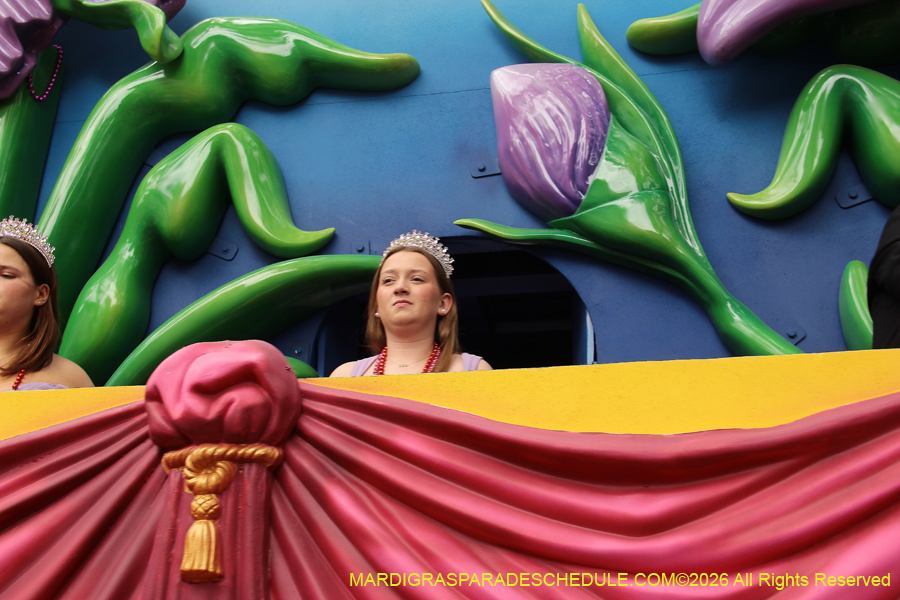 Krewe-of-Iris-2026-6889