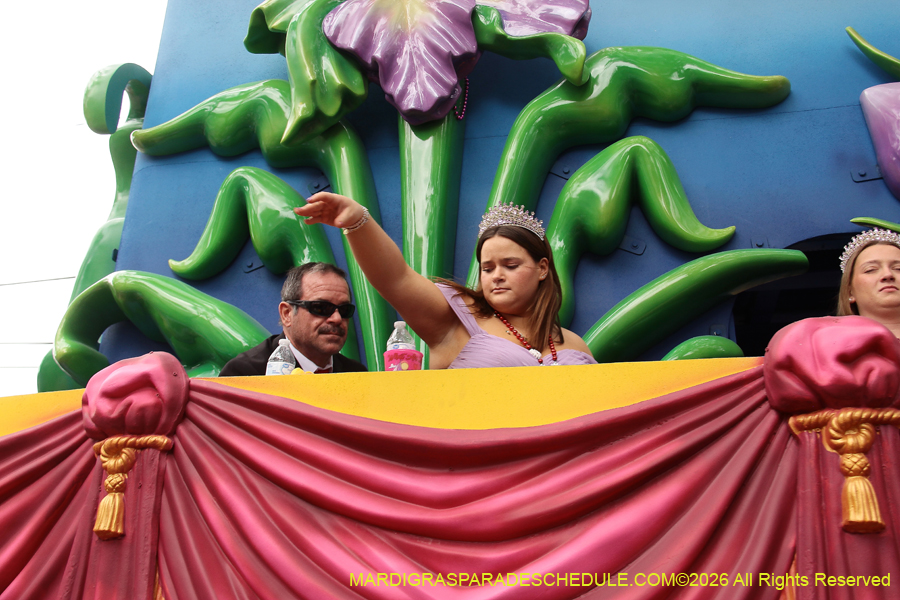 Krewe-of-Iris-2026-6890