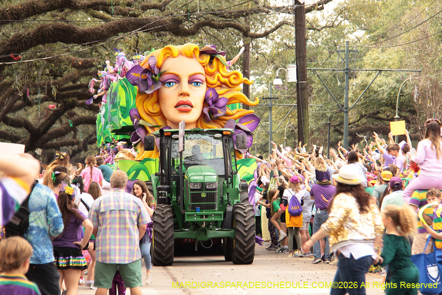 Krewe-of-Iris-2026-6895