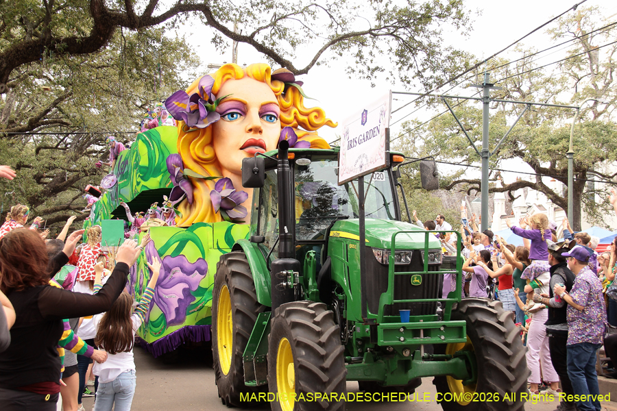 Krewe-of-Iris-2026-6896