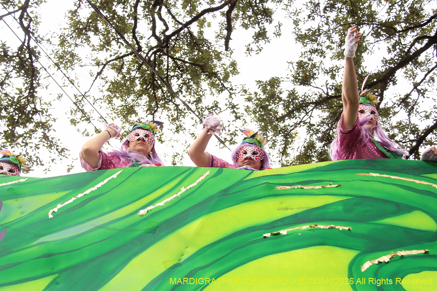 Krewe-of-Iris-2026-6899