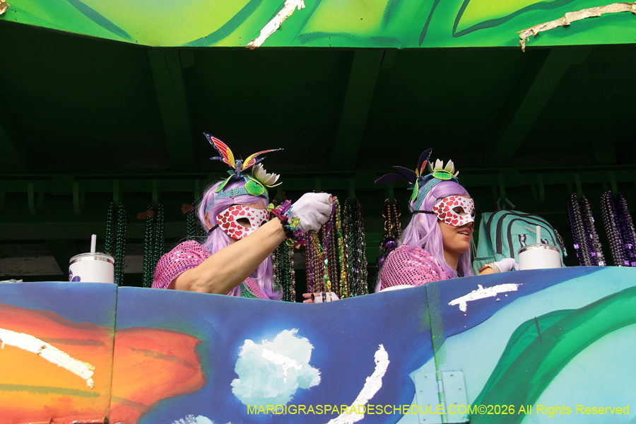 Krewe-of-Iris-2026-6900