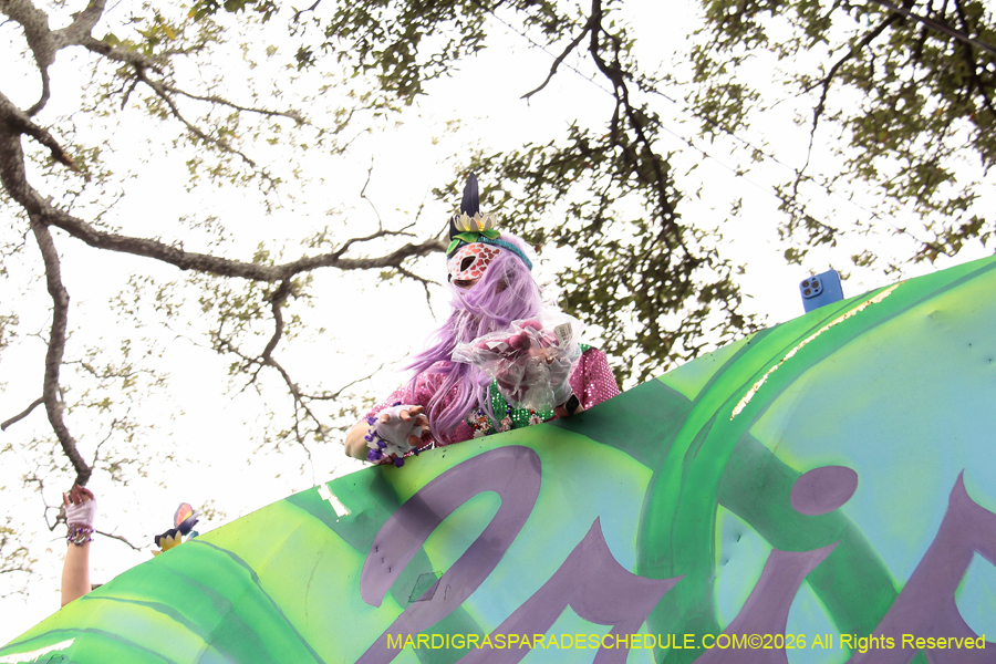 Krewe-of-Iris-2026-6901