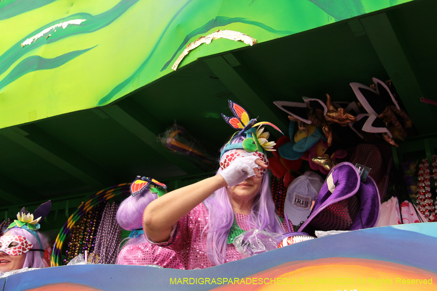 Krewe-of-Iris-2026-6902