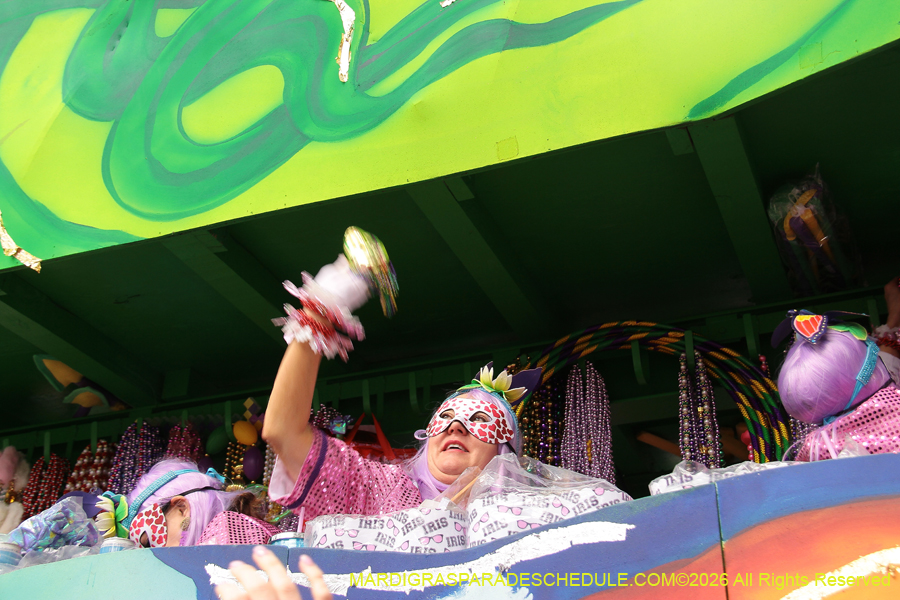 Krewe-of-Iris-2026-6903