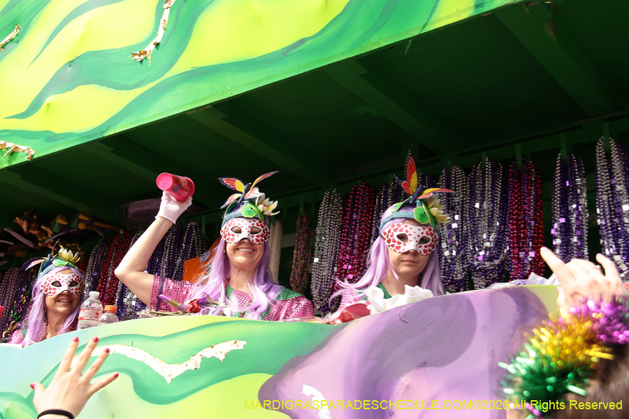 Krewe-of-Iris-2026-6905