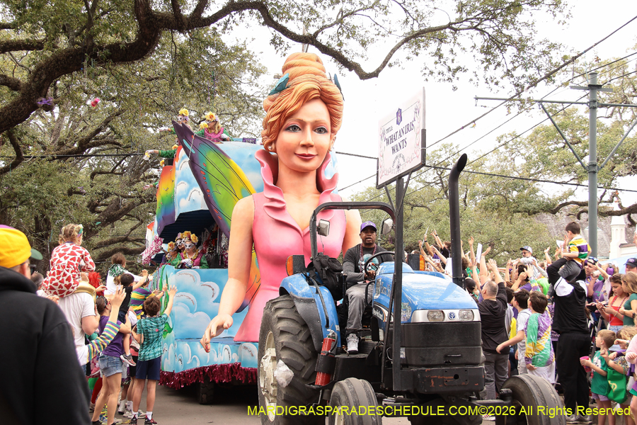 Krewe-of-Iris-2026-6920