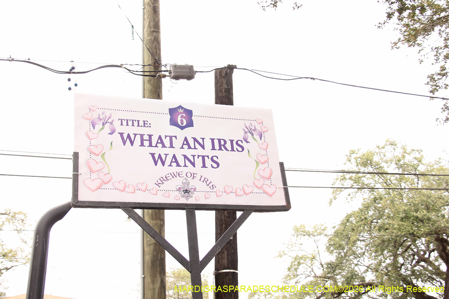 Krewe-of-Iris-2026-6921