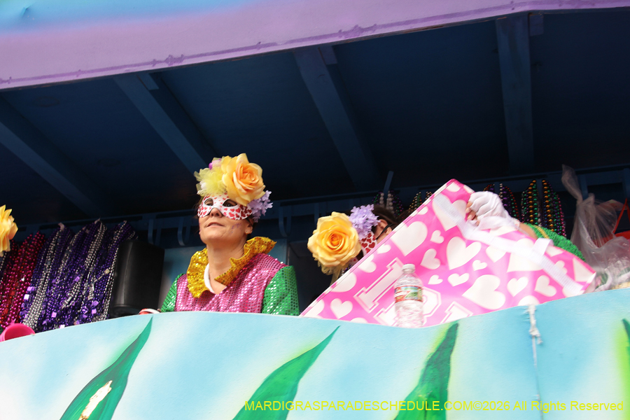 Krewe-of-Iris-2026-6923