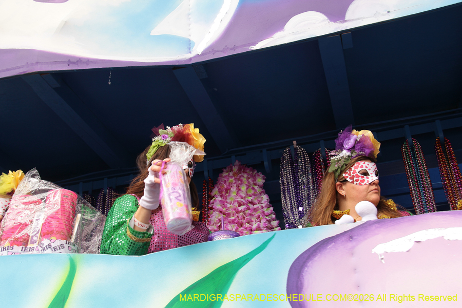 Krewe-of-Iris-2026-6926