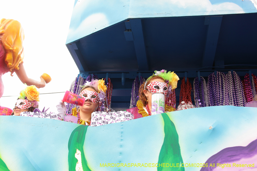 Krewe-of-Iris-2026-6928