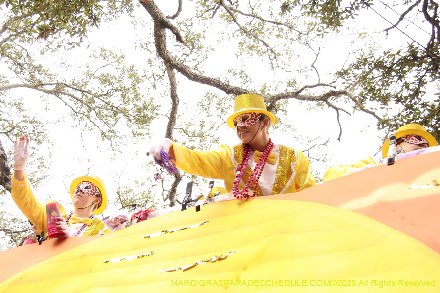 Krewe-of-Iris-2026-6943